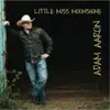 Adam Aaron - Little Miss Moonshine - Single